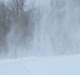 Cod galben de vânt, în zona montană a județului Prahova