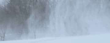 Cod galben de vânt, în zona montană a județului Prahova