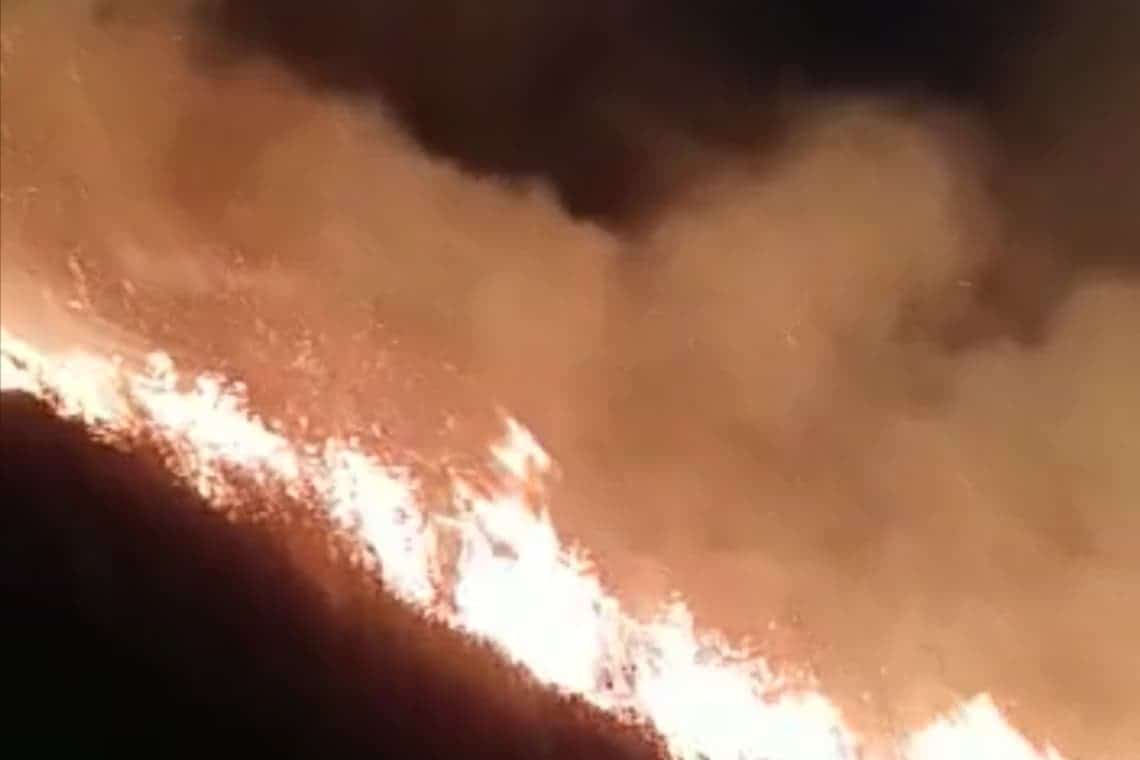 Video/ Incendii de vegetație pe 11 hectare, în Urlați