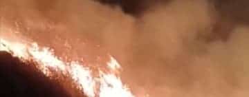 Video/ Incendii de vegetație pe 11 hectare, în Urlați
