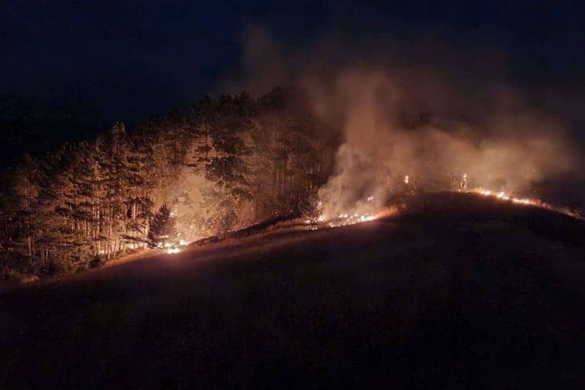 Un incendiu de vegetație izbucnit în comuna Apostolache s-a extins și în pădurea de la marginea localității