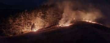 Un incendiu de vegetație izbucnit în comuna Apostolache s-a extins și în pădurea de la marginea localității