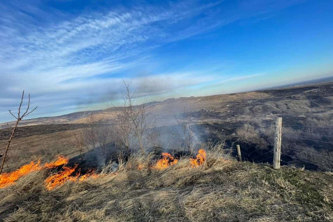 O plantație de cătină și una de nuci, mistuite într-un incendiu, la Vadu Săpat