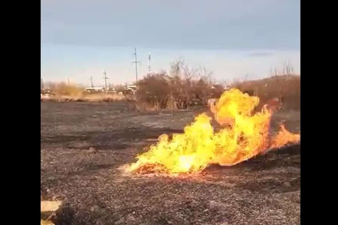 Video/Șase gospodării din Boldești Scăeni, la un pas să fie cuprinse de flăcări, într-un alt incendiu de vegetație. O conductă de gaze, în zona afectată!