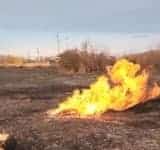 Video/Șase gospodării din Boldești Scăeni, la un pas să fie cuprinse de flăcări, într-un alt incendiu de vegetație. O conductă de gaze, în zona afectată!