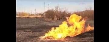 Video/Șase gospodării din Boldești Scăeni, la un pas să fie cuprinse de flăcări, într-un alt incendiu de vegetație. O conductă de gaze, în zona afectată!