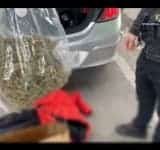Trei prahoveni, prinși cu un kilogram de canabis în portbagajul mașinii. Toți trei au fost reținuți