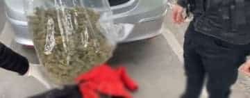 Trei prahoveni, prinși cu un kilogram de canabis în portbagajul mașinii. Toți trei au fost reținuți