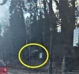 Au scăpat teferi după ce au căzut cu mașina în gol, în fața Gării Sinaia!