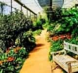 Proiect Muzeul de Științele Naturii Prahova: seră-școală, în incinta Grădinii Botanice de la Bucov!