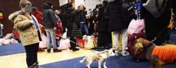 Alte sute de oameni din Ucraina, chiar și animalele lor de companie, și-au găsit refugiu în Prahova, plecând din calea războiului