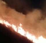 Incendiu pe șapte hectare de teren, la Gura Vitioarei