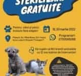 Campanie de sterilizare a câinilor și pisicilor, la Ploiești