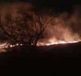 Video/ Incendiu pe 50 de hectare, la Boldești-Scăeni. Mai multe echipaje de pompieri intervin pentru stingerea focarelor