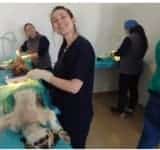 Peste 400 de ploieșteni s-au înscris pe lista de așteptare pentru sterilizarea gratuită a pisicilor sau a câinilor. Campania s-a prelungit!