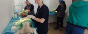 Peste 400 de ploieșteni s-au înscris pe lista de așteptare pentru sterilizarea gratuită a pisicilor sau a câinilor. Campania s-a prelungit!