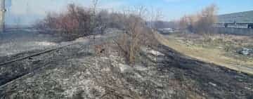 Pericol lângă calea ferată, în zona Inotești! Incendiu lângă un tren încărcat cu benzină!