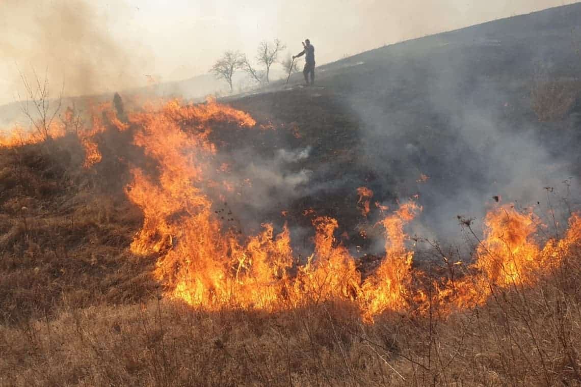 120 de hectare de teren cu vegetație uscată și trei case părăsite, cuprinse de flăcări la Jugureni
