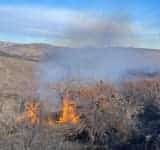 Incendiile de vegetație au făcut prima victimă în Prahova. Un bărbat a murit la Posești