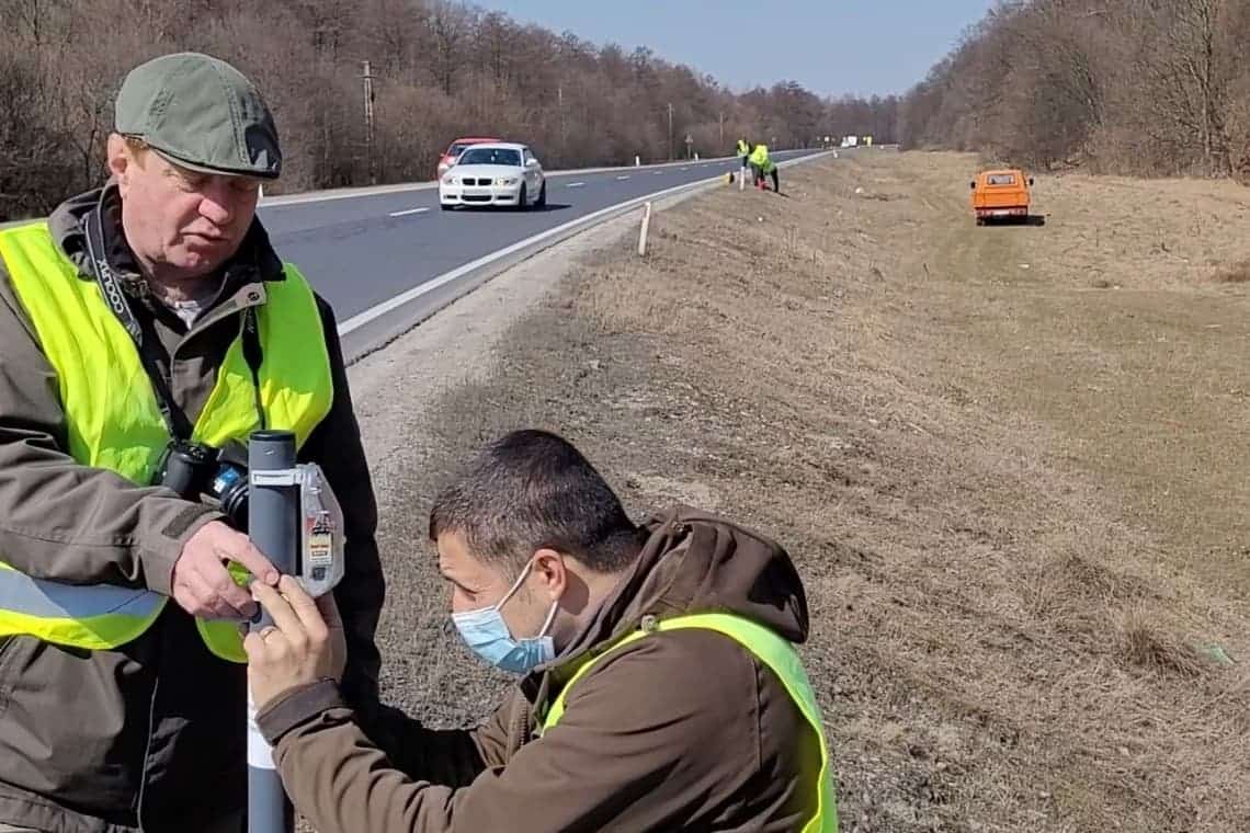 Video/ Garduri virtuale pe DN1, în zona montană, pentru descurajarea pătrunderii urșilor și lupilor pe drum, în timpul nopții