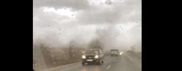 Furtuna care a măturat zona Ploieștiului a dat impresia de tornadă. Copaci rupți și căzuți pe țevi de gaze, stâlpi smulși, cabluri căzute pe carosabil