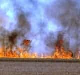 Prahova/ Peste 60 de hectare de teren cu vegetație uscată, mistuite de flăcări în ultimele 24 de ore
