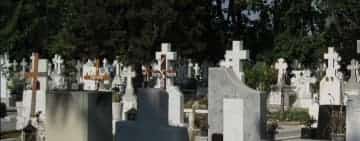 Prins la furat, un tânăr din Ploiești a încercat să fugă de polițiști prin cimitir