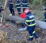 Un bărbat a murit strivit de un copac, în zona mănăstirii Crasna