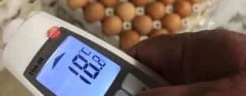 Ouăle din comerț, luate la verificat de comisarii ANPC. Comercianții, amendați cu 380.000 de lei, într-o singură zi