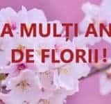 Câți români își sărbătoresc onomastica de Florii/ Care sunt cele mai frecvente nume de flori