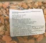Ați cumpărat carne de scoici de la Metro? Verificați dacă este din lotul infectat cu o bacterie periculoasă!