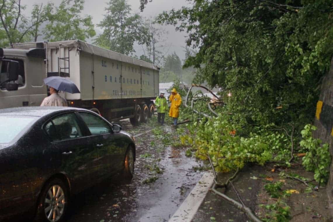 Restricții de circulație pe DN1, în zona Posada. Se toaletează și se taie arborii de pe marginea drumului