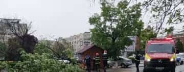 Foto/ Un copac s-a prăbușit peste o mașină, în centrul Ploieștiului. O persoană a fost rănită