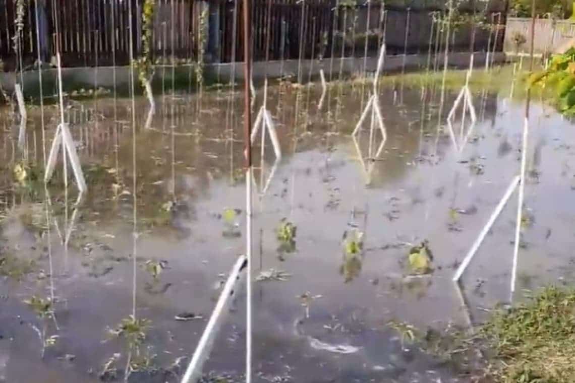 Galerie foto/ Dezastru la Colceag. Un canal de irigații inundat a făcut prăpăd în zeci de gospodării
