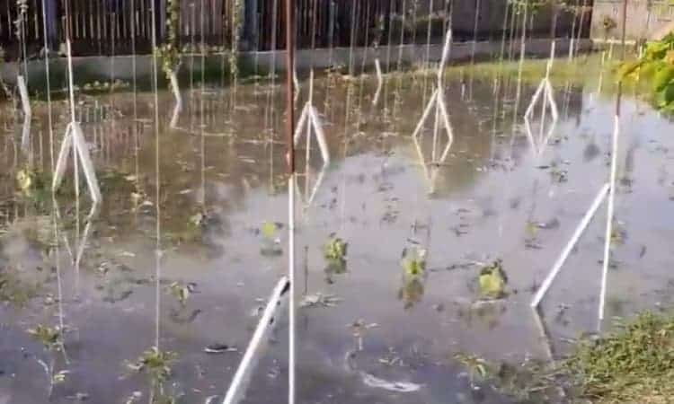 Galerie foto/ Dezastru la Colceag. Un canal de irigații inundat a făcut prăpăd în zeci de gospodării