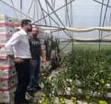 Adrian Chesnoiu, ministrul Agriculturii, la întâlnirea cu legumicultorii din sudul Prahovei: "Trăim cu toții mitul meșterului Manole. Vine un ministru, se apucă să facă ceva bun, vine apoi altul să șteargă cu buretele!"