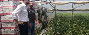 Adrian Chesnoiu, ministrul Agriculturii, la întâlnirea cu legumicultorii din sudul Prahovei: "Trăim cu toții mitul meșterului Manole. Vine un ministru, se apucă să facă ceva bun, vine apoi altul să șteargă cu buretele!"