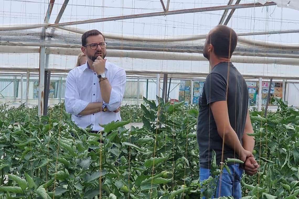 Ministrul Agriculturii, Adrian Chesnoiu, răspunde solicitărilor legumicultorilor din Prahova și prelungește termenul de valorificare a tomatelor produse în spații protejate