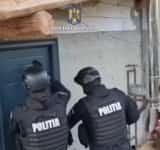 Au bătut în lemn și le-au bătut și mascații la ușă! Percheziții, în Prahova, la suspecți de tăiere ilegală de arbori