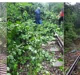 Traficul feroviar între Buda și Plopeni, afectat de vremea rea. Un copac și un stâlp s-au prăbușit pe calea ferată
