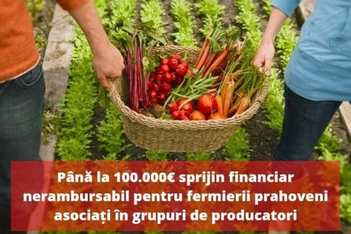 Președintele PSD Prahova, Bogdan Toader: Grupurile de producători din sectorul agricol vor putea primi sprijin financiar nerambursabil de până la 100.000 de euro