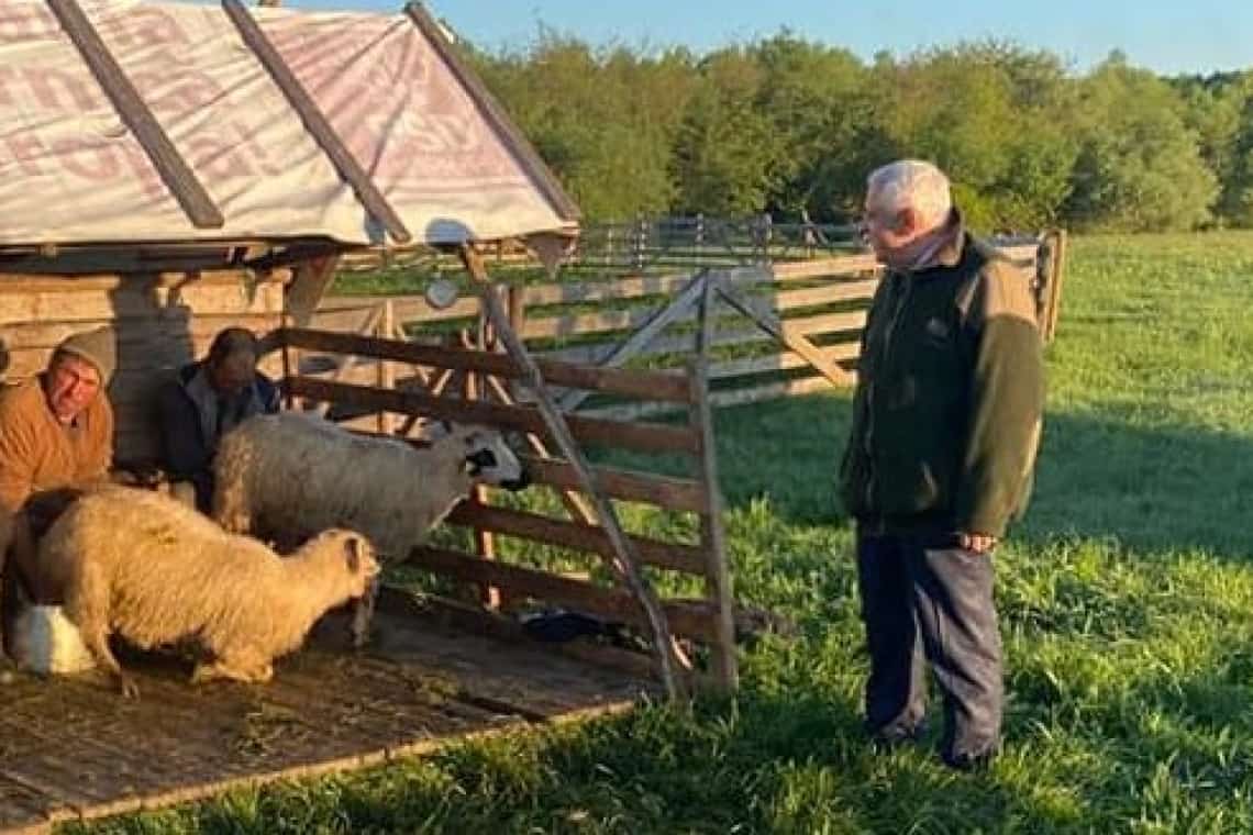 Petre Daea, ministrul cu “Alege oaia”, se întoarce la Agricultură