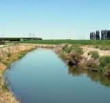 În Prahova, suprafața contractată pentru irigații este de numai 6.531 de hectare!