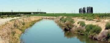 În Prahova, suprafața contractată pentru irigații este de numai 6.531 de hectare!
