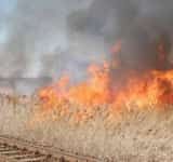 Incendiu de vegetație lângă calea ferată Ploiești-București, la Poienarii Rali