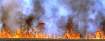 Circulație îngreunată pe DN72, la Ariceștii Rahtivani, din cauza unui incendiu de vegetație