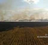 Trafic îngreunat pe DN1, din cauza unui incendiu care a cuprins 5 hectare de teren