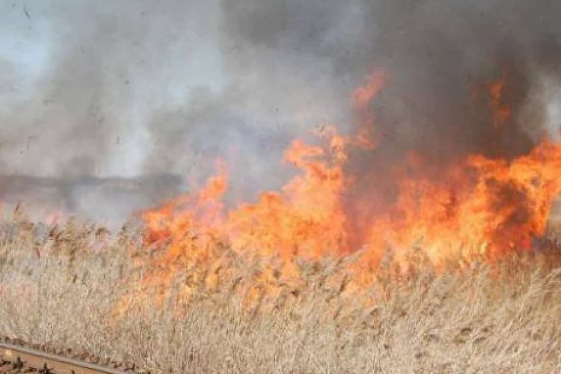 Aproape 800 de hectare de teren cu vegetație uscată, mistuite de flăcări în ultimele 24 de ore!