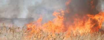 Aproape 800 de hectare de teren cu vegetație uscată, mistuite de flăcări în ultimele 24 de ore!