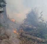 Update/Incendiul din Piatra Arsă a fost localizat. Mobilizare de forțe pentru stingerea flăcărilor